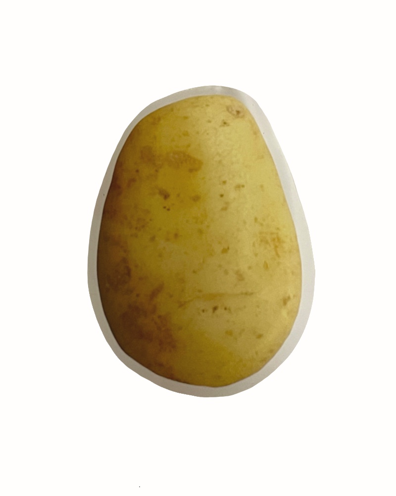[grip tok] potato